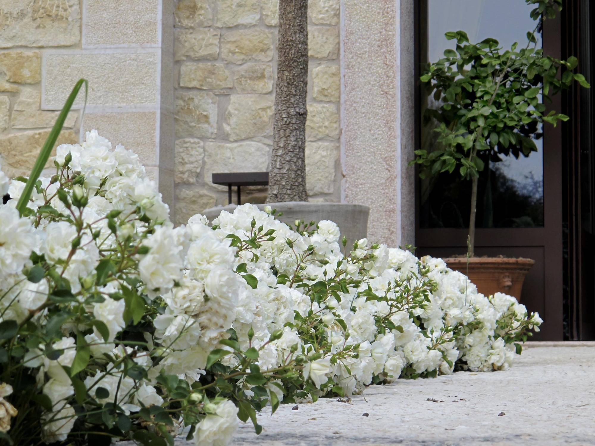 Delser Verona Manor House Εξωτερικό φωτογραφία