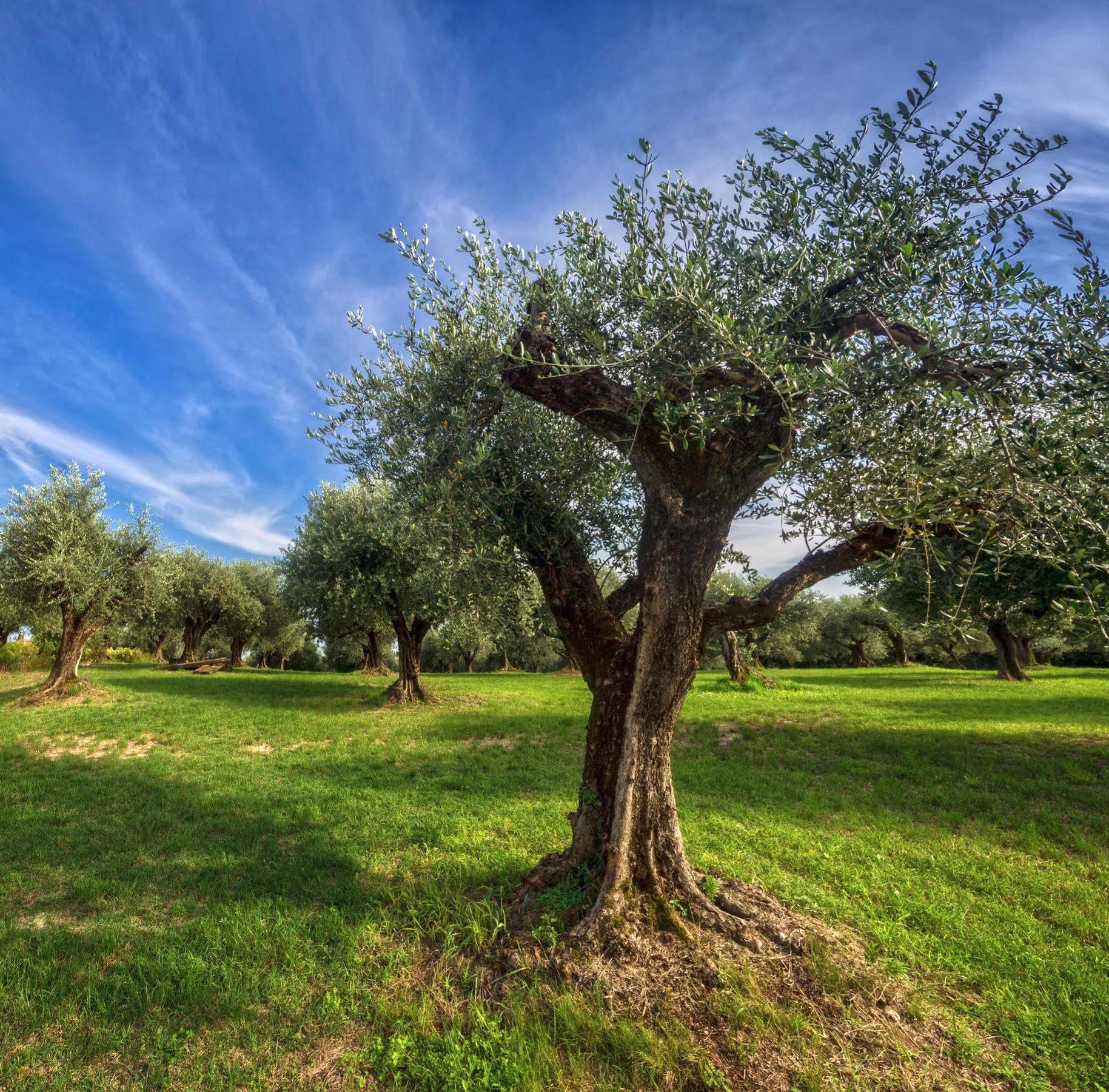 Delser Verona Manor House Εξωτερικό φωτογραφία