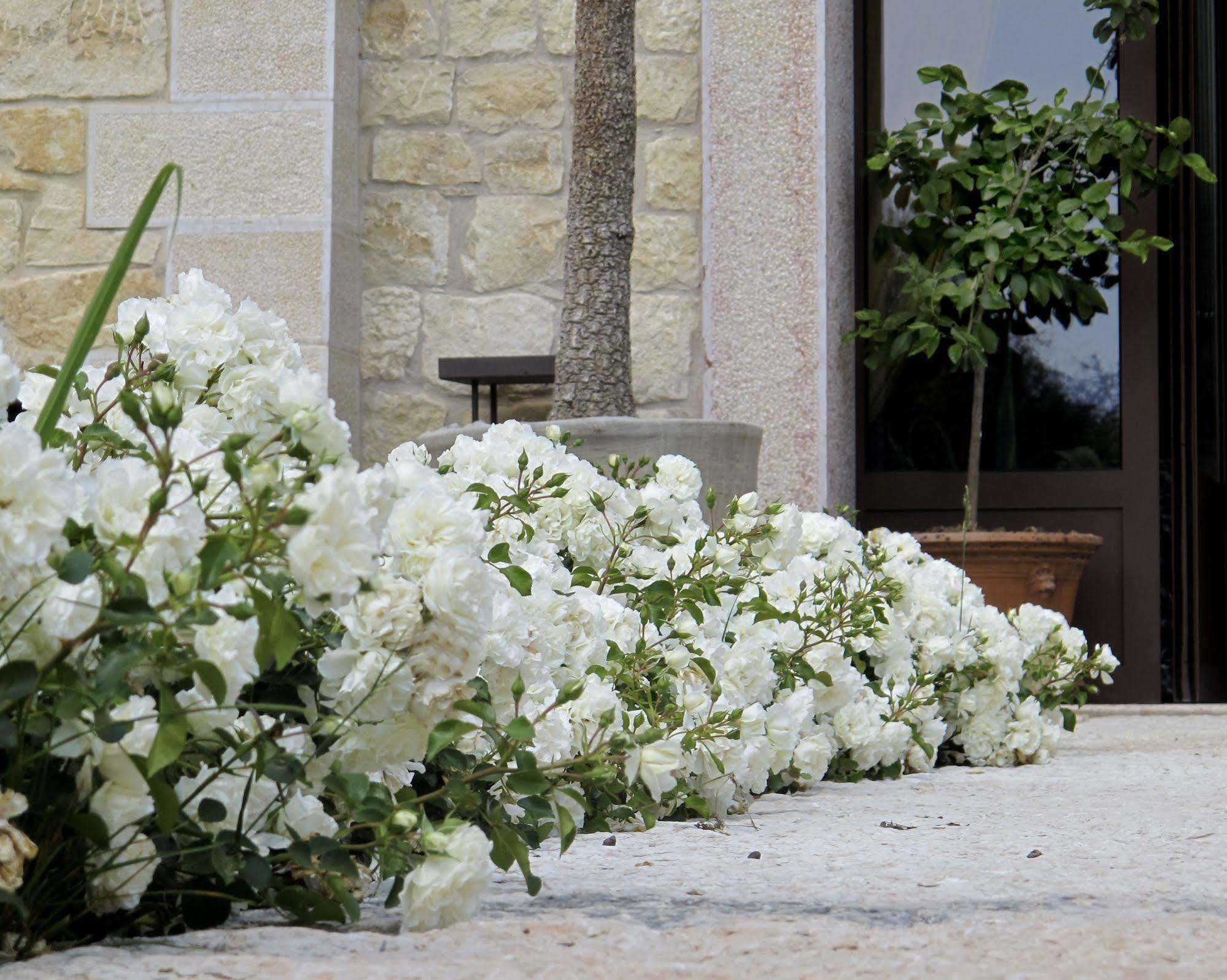 Delser Verona Manor House Εξωτερικό φωτογραφία